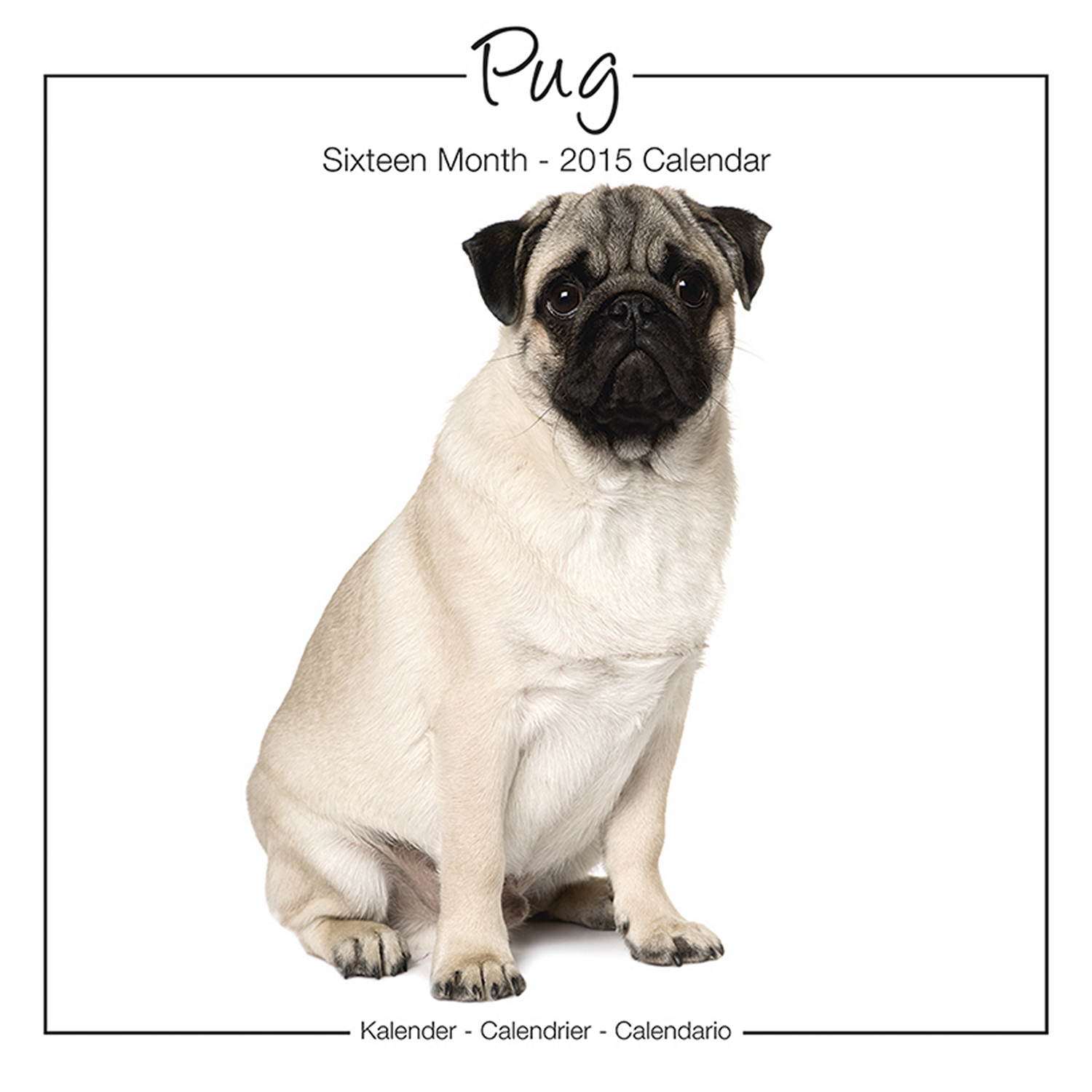 pug wall pug wall calendar studio 2015 pet prints inc pug wall pug wall calendar studio 2015 pet prints inc