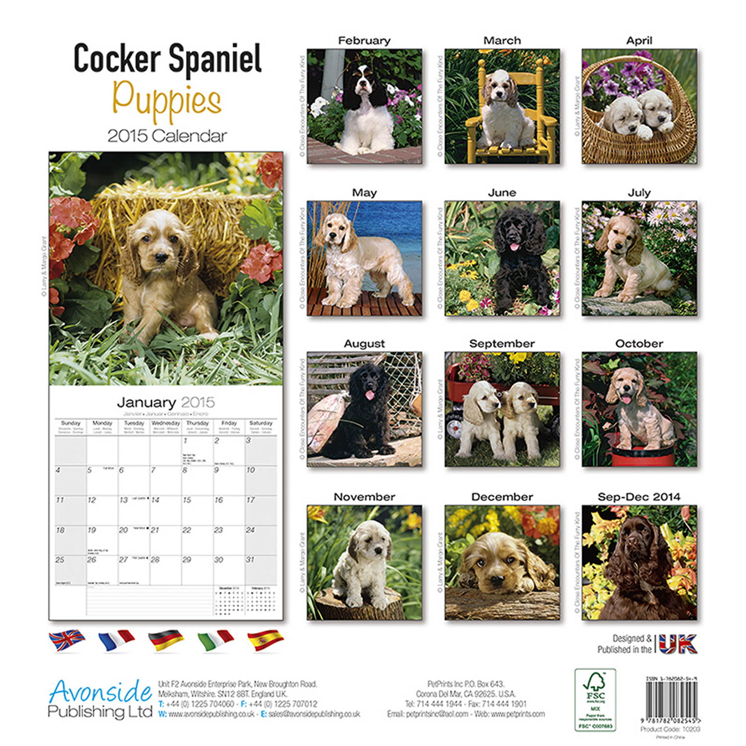 Cocker Spaniel Puppies Calendar 2016 Pet Prints Inc.