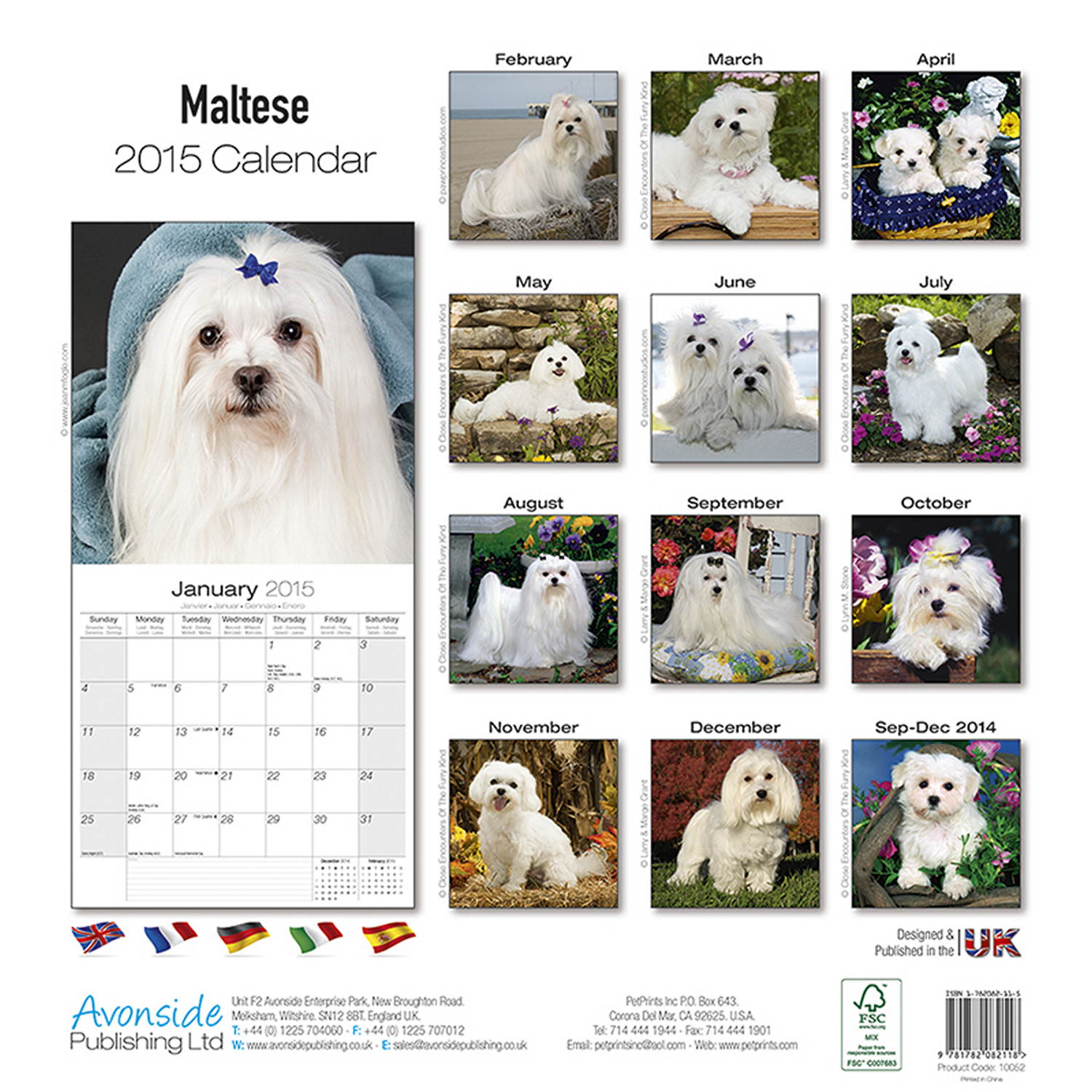 Maltese Calendar 2015 1005215 Maltese Dog Breeds