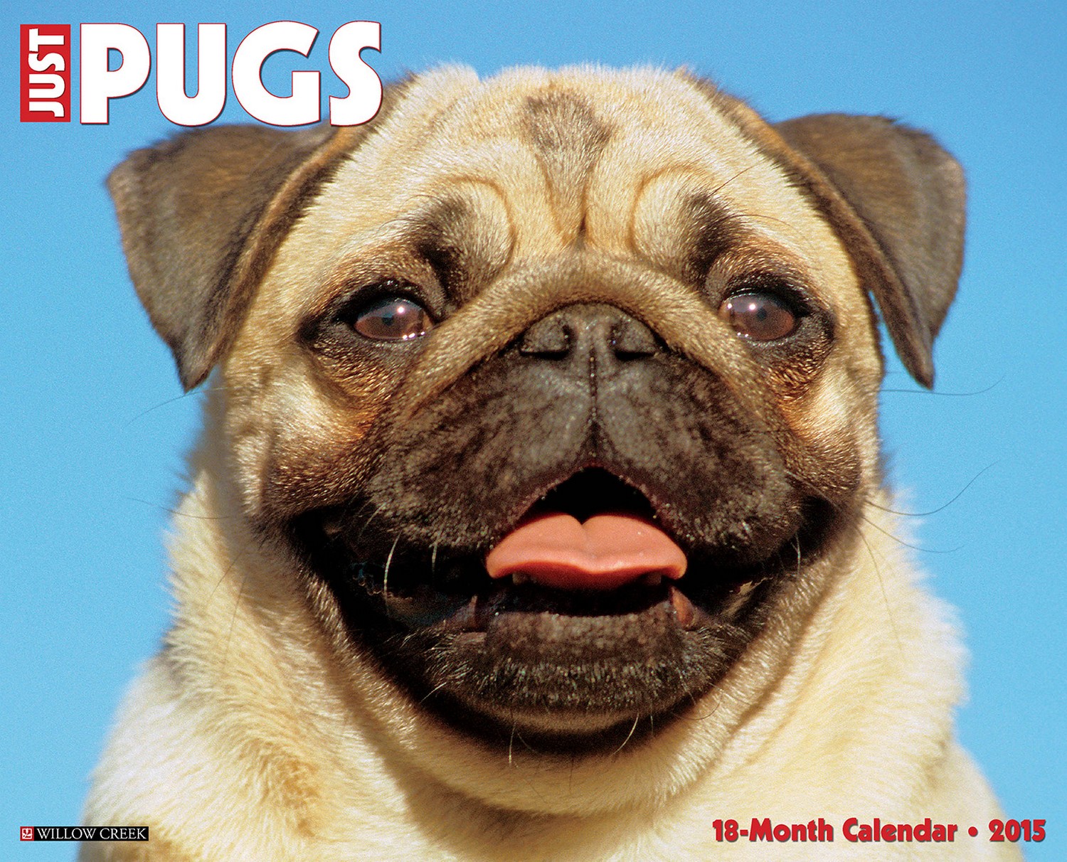 breeds similar to pugs pugs wall calendar by crystalleephoto breeds picture breeds similar to pugs pugs wall calendar by crystalleephoto breeds picture